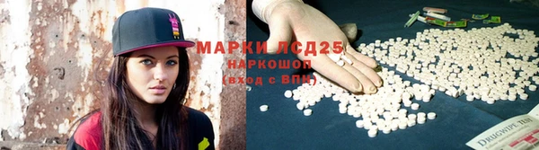 ГАЛЛЮЦИНОГЕННЫЕ ГРИБЫ Тайга
