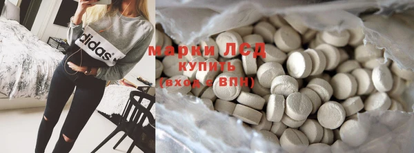 ГАЛЛЮЦИНОГЕННЫЕ ГРИБЫ Тайга