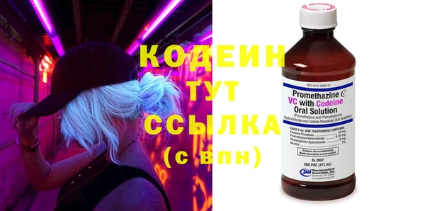 ГАЛЛЮЦИНОГЕННЫЕ ГРИБЫ Тайга