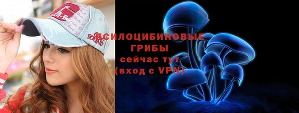 амф Тавда