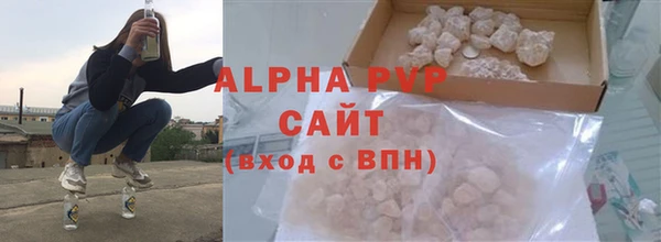 ГАЛЛЮЦИНОГЕННЫЕ ГРИБЫ Тайга