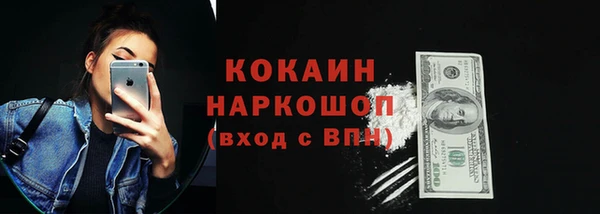 гидра Сясьстрой