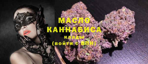 гидра Сясьстрой