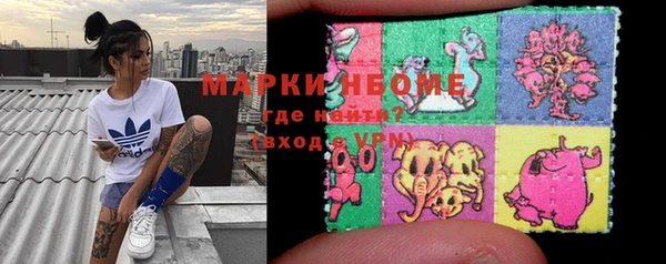 ГАЛЛЮЦИНОГЕННЫЕ ГРИБЫ Тайга