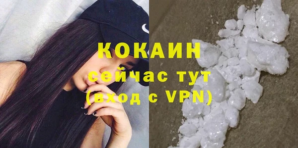 гидра Сясьстрой