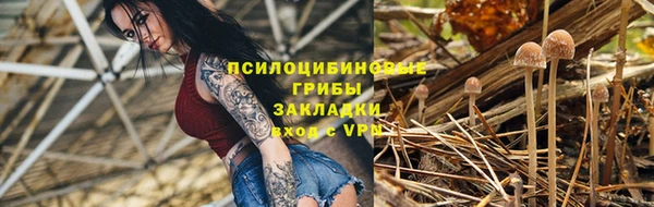 амф Тавда