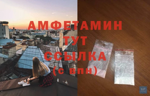 ГАЛЛЮЦИНОГЕННЫЕ ГРИБЫ Тайга