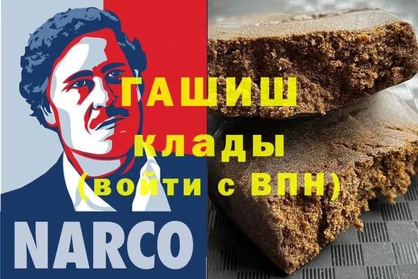 ГАЛЛЮЦИНОГЕННЫЕ ГРИБЫ Тайга