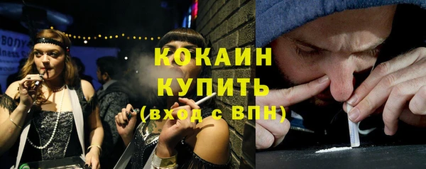 амф Тавда