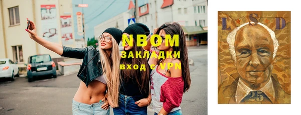 ГАЛЛЮЦИНОГЕННЫЕ ГРИБЫ Тайга