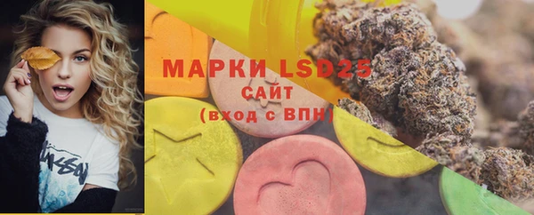 ГАЛЛЮЦИНОГЕННЫЕ ГРИБЫ Тайга