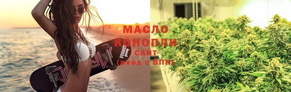 гидра Сясьстрой