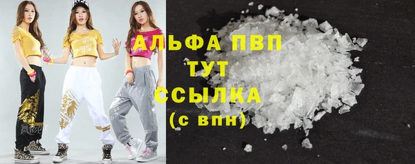 гидра Сясьстрой