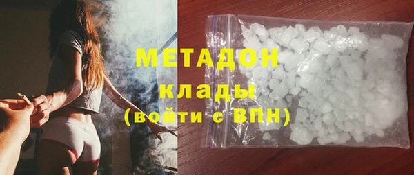 ГАЛЛЮЦИНОГЕННЫЕ ГРИБЫ Тайга