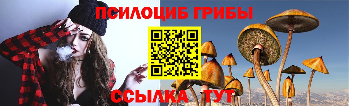 Старый Оскол  Псилоцибиновые грибы прущие грибы  Вход с VPN 