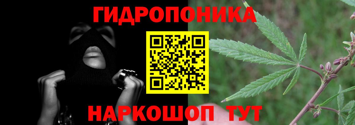 Канабис ГИДРОПОН Старый Оскол